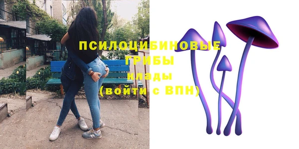 мескалин Алексин